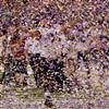 Super Bowl 2013 Finali
