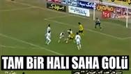 Tam bir hal� saha golü