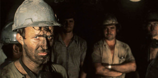 301 ölü, 75 milyon yaralı