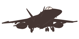 İşgalcisinden ülkesine hava harekâtı düzenlemesini isteyen bir hükümet