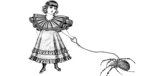 Örümceğin Biri III