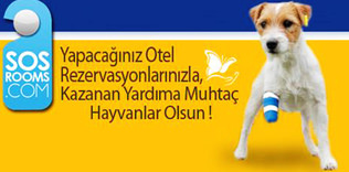 Tatil rezervasyonunuz çevreye duyarlı olsun