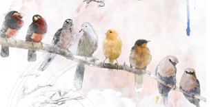 Çalıkuşu ve Yaban: Aydın diktatörlüğü