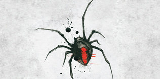 Örümceğin biri IV