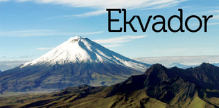 Amazonların yeşili siyaha döndü: Ekvador