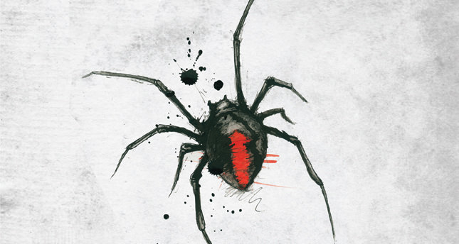 Örümceğin biri IV