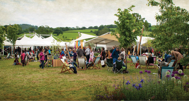 Hay’dan gelen güzellikler: Bir kitap festivali