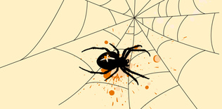 Örümceğin biri VI