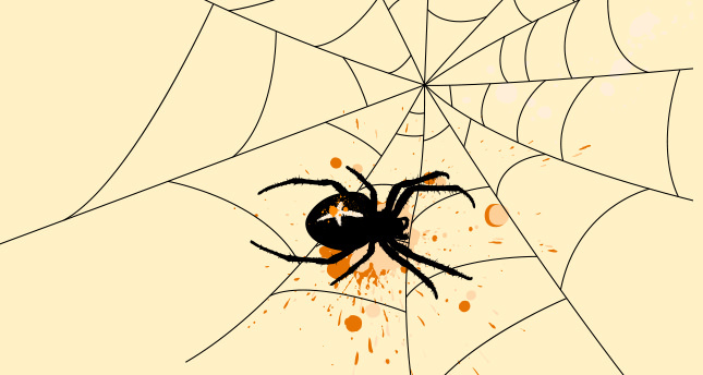 Örümceğin biri VI