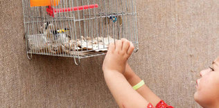 Yurt edinme hakkı nedir?