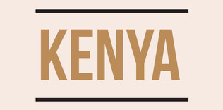 Uluslararası Ceza Mahkemesi kedi olalı bir fare tuttu