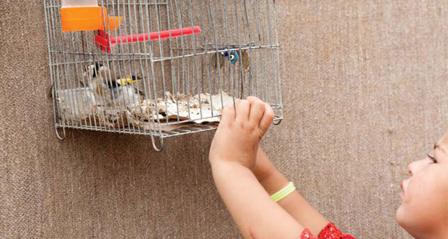 Yurt edinme hakkı nedir?