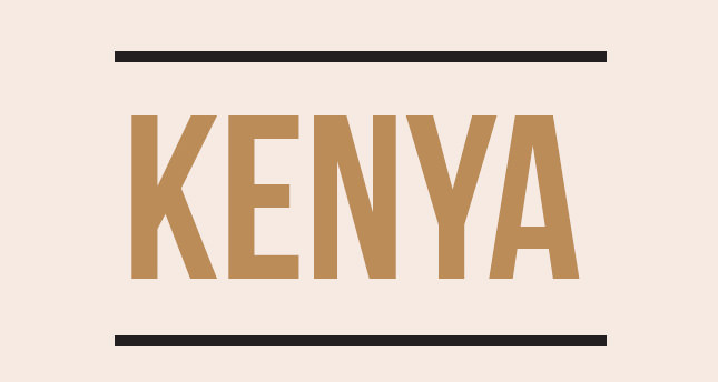 Uluslararası Ceza Mahkemesi kedi olalı bir fare tuttu