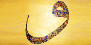 Kasım - Sergi Ajandası