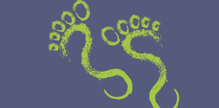 Doğaya olan borcumuzu öğrenelim