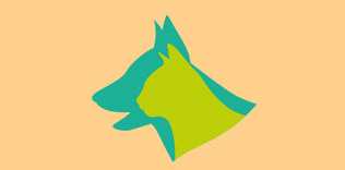 Plastikler çöp değildir!