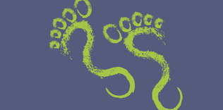 Kış gelmeden siz gelin