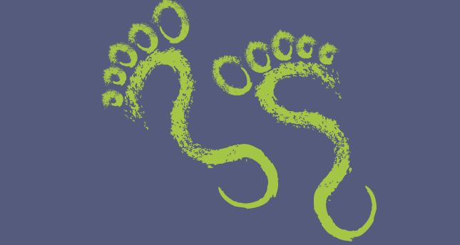 Kış gelmeden siz gelin