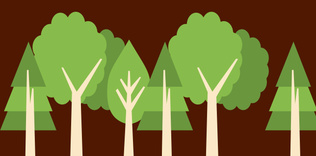 Nikâh davetiyeniz  ile ağaç dikin