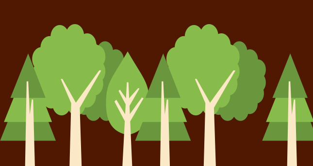 Nikâh davetiyeniz  ile ağaç dikin