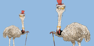 Mizah öldürmez süründürür!