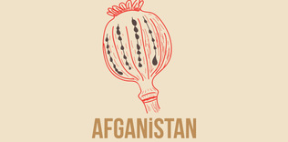 Afyon üretimine savaş mı açıldı yoksa yatırım mı yapıldı?