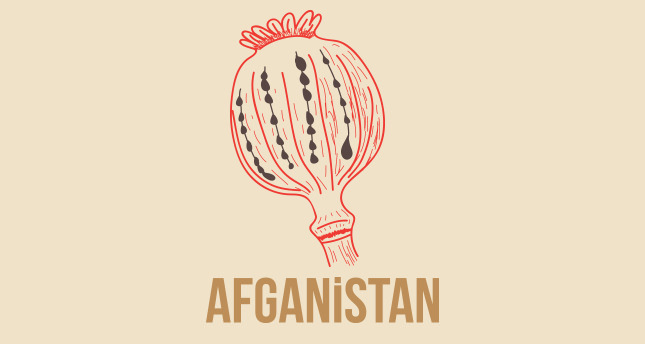 Afyon üretimine savaş mı açıldı yoksa yatırım mı yapıldı?