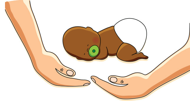 Bağışınız ‘şifa’ olsun