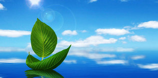 Hayata su ile destek olun