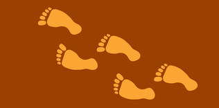 5 adımda  sen de bir şey yap