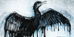 O fotoğrafa alışmayacağız!