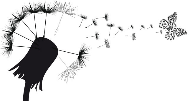 Hakikatin peşindeki şair: Hz. Hansa