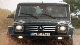 ARAMIZDAKİ DİNOZOR