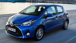 TOYOTA İLE WWF SIFIR KARBON İÇİN İŞ BİRLİĞİ YAPACAK