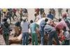A�l�ktan fili yediler!