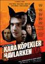 Kara K�pekler Havlarken filminden kareler