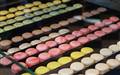 Gastronomi Festivali ba�lad�