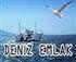 firma adı