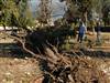 Antalya'da hortum kötü anlar ya�att�