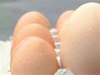 Bu besinler haf�zay� güçlendiriyor