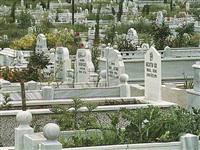 Mezarl�klara neden çiçek koyulur?