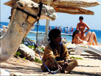 M�s�r'da 1 hafta tatil 199 euro