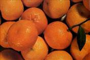 Mandalinan�n Faydalar�