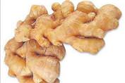Zencefilin Faydalar�