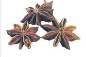 Anasonun Faydalar�