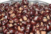 Kestanenin Faydalar�