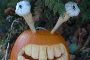 Sanat�n kabak tad�