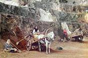 Bu foto�raflar 100 y�ll�k