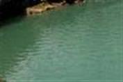 Manavgat �elalesi