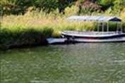 Dalyan